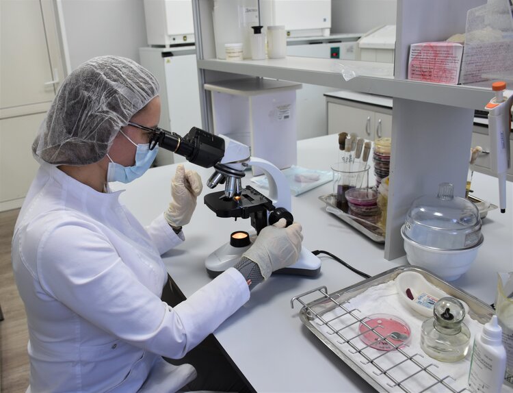 В импортной буйволятине нашли остатки инвермектина - фото