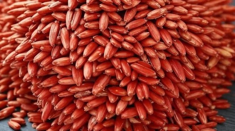 Тенденции рынка семян 2026: квоты, ФГИС и цена суверенитета в оценке эксперта - фото