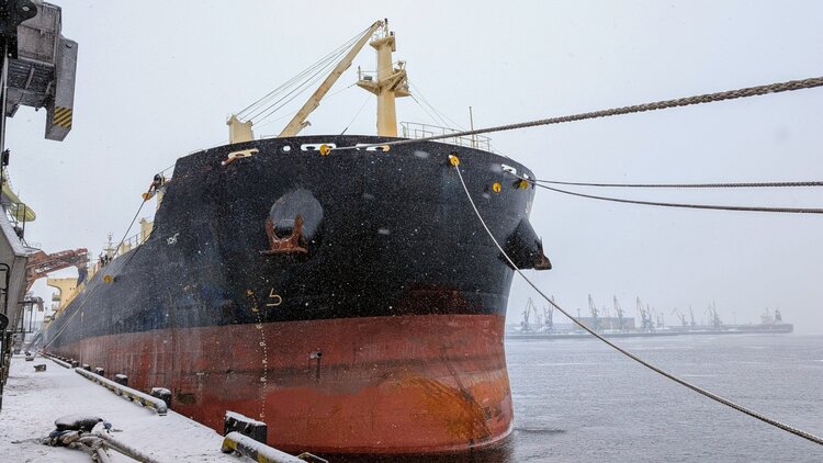 Мурманский балкерный терминал отгрузил 100 тысяч тонн удобрений из Балтики в Африку без задержек - фото