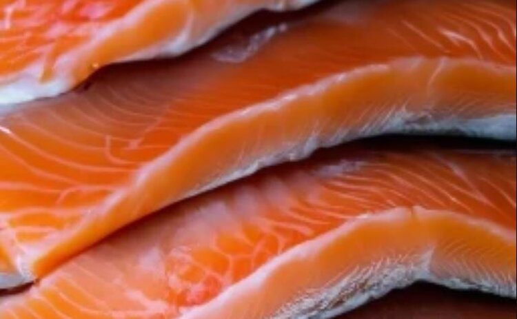 Изменение нормативной базы страхования аквакультуры повышает уровень страховой защиты: за два года рыбоводы получили почти 1,7 млрд рублей страховых выплат