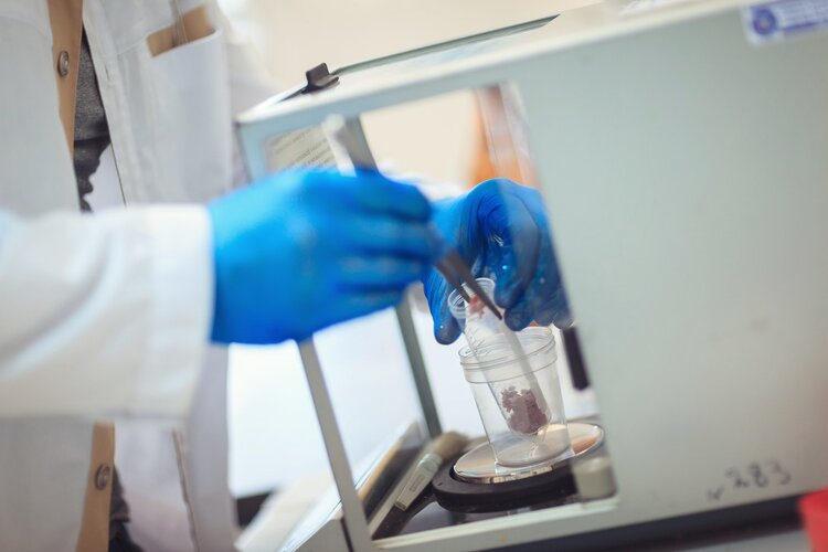 В России будут аттестованные методики определения остатков карбопенемов и оксазолидинонов в продукции животноводства - фото