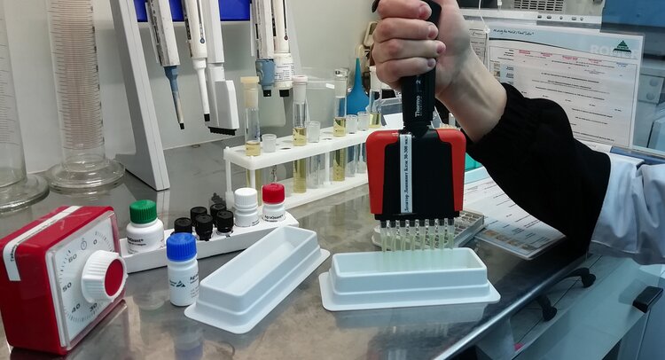 В марте Ингушетия поставила в Ирак крупную партию проса - фото