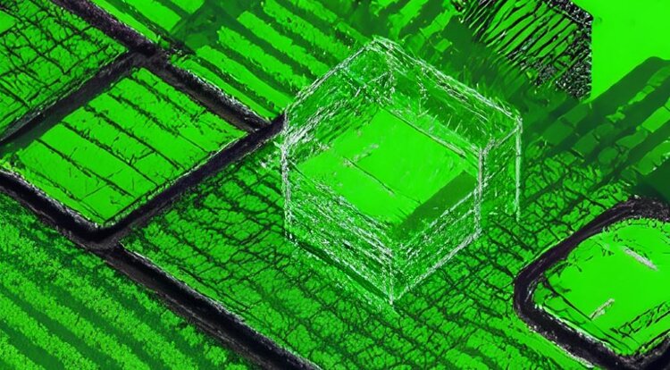 Южная Корея официально включила ИИ в агрополитику - фото