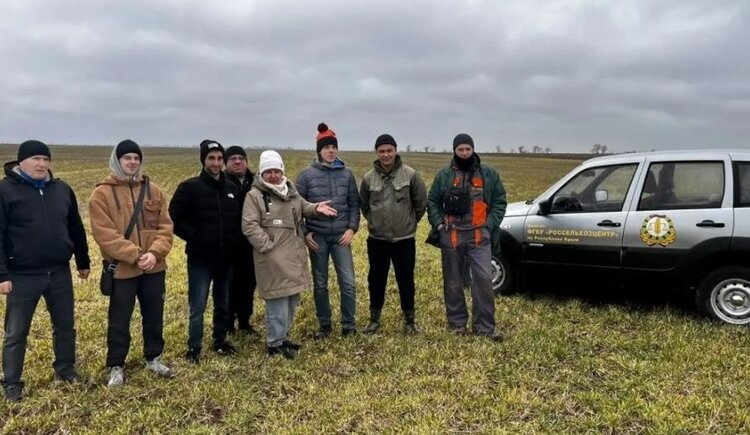 Итоги весеннего мониторинга саранчовых 2026 в Крыму - фото