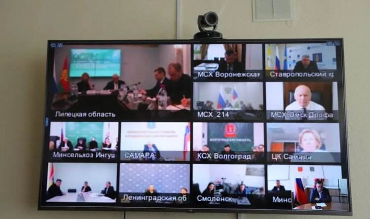 Площади ярового сева в России установлены в 83, 1 млн га