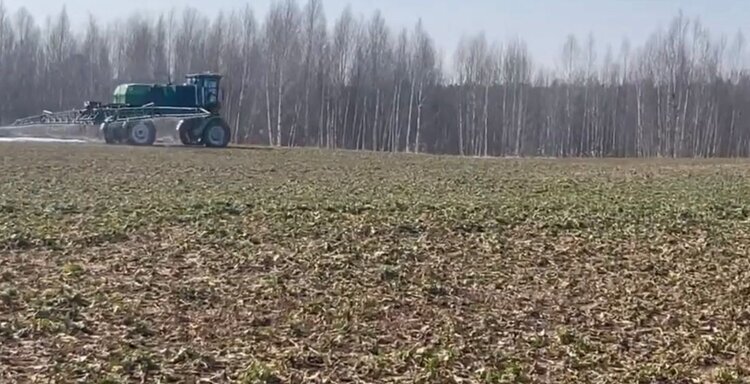 Смоленское агропредприятие повышает урожайность зерновых, масличных и зернобобовых