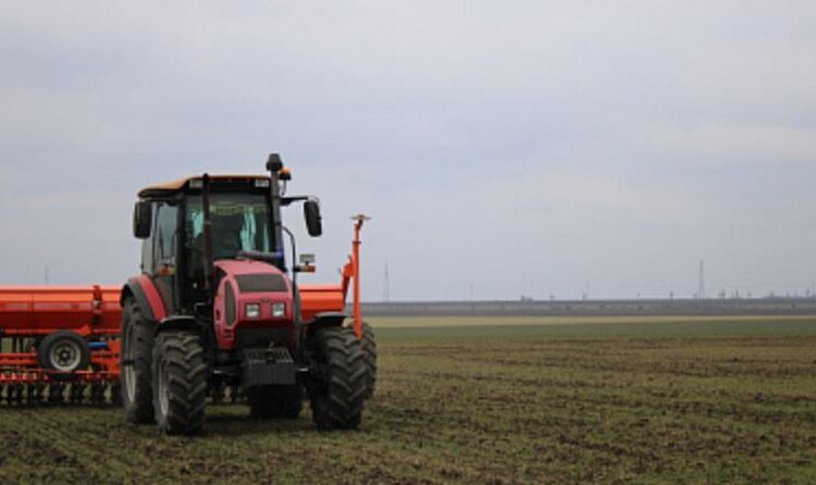 Запорожские аграрии завершили подкормку озимых под урожай 2026 - фото