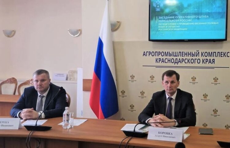 Краснодарские аграрии сеют сахарную свеклу ускоренными темпами