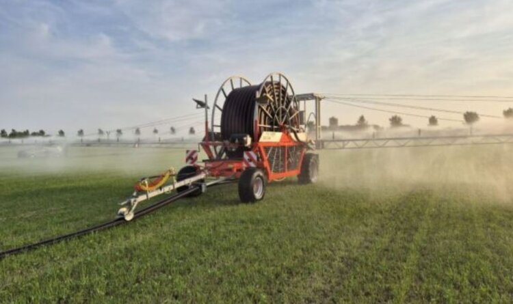 Органический фермер в Нидерландах придумал свою ирригационную систему