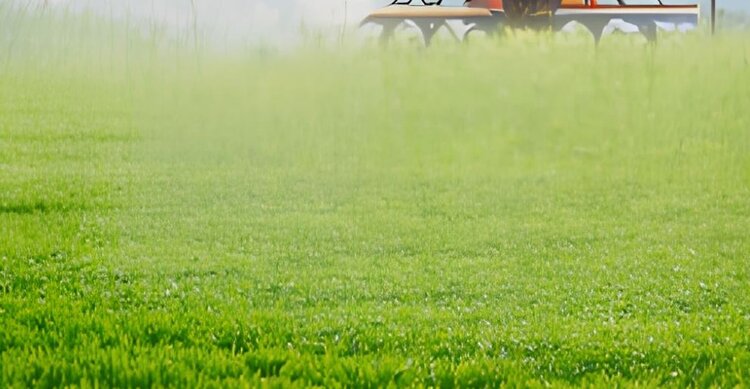 Аграриям подготовиться. Россельхозцентр дал прогноз развития болезней и вредителей в полях Херсонской области