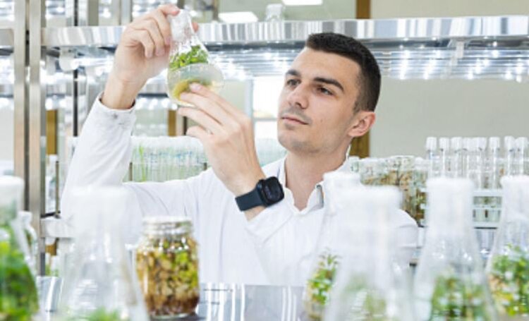 Тимирязевский геномный центр - российский флагман ускоренной селекции