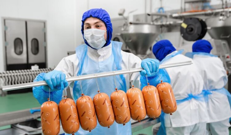 Крупные аграрные предприятия Пензенской области продолжают инвестпроекты: экспорт будет в плюсе