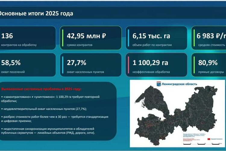 49,5 млн рублей для борьбы с борщевиком Сосновского потратят в этом году в Ленобласти