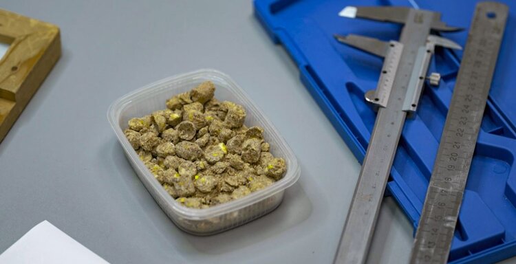 Подсолнечный шрот набирает оборот: +32% в портах Кубани