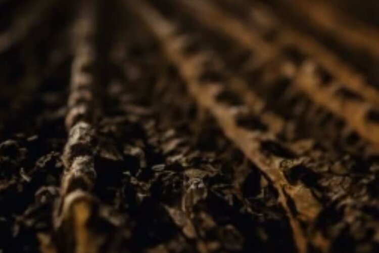 Переувлажнение почвы поставило на паузу старт массового сева яровых в Амурской области