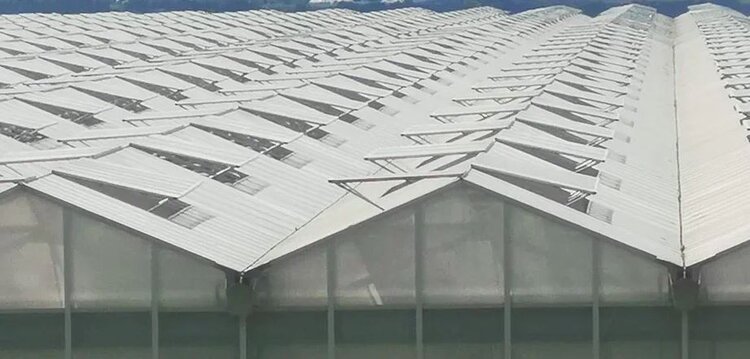 В России впервые забелили теплицы с дронов