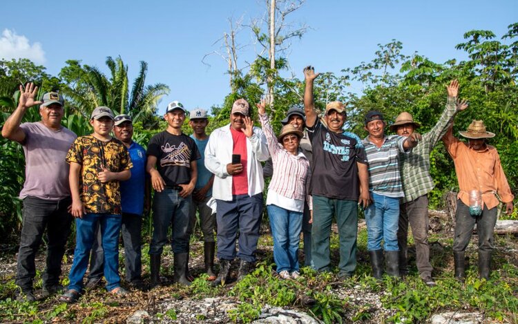 Хранители семян местной кукурузы в Мексике не хотят уступать поля современным гибридам