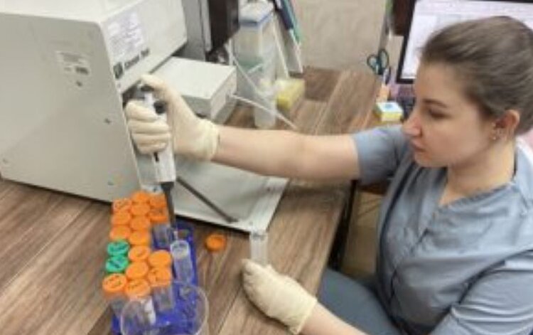 Откуда берутся тонны ртутных крабов, рассказали специалисты