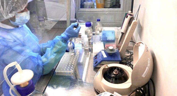 Вот почему кормовую зернопродукцию для свиней проверяют в лаборатории