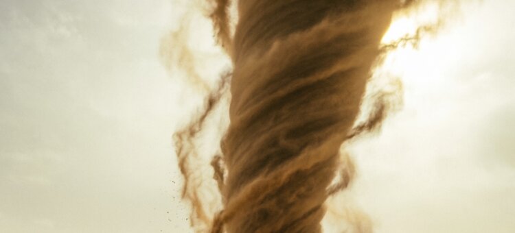 Сколько выплатили саратовским аграриям за песчаные бури