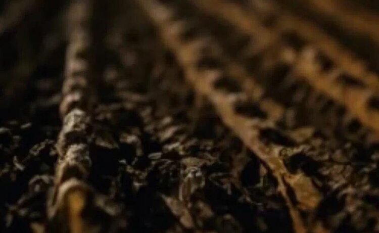 С какой погодной катастрофой чаще всего сталкиваются аграрии Башкортостана