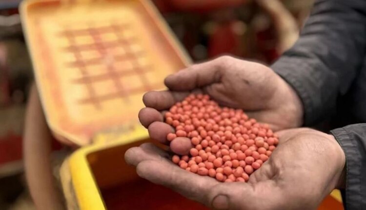 Хабаровские семена получили свой проект с господдержкой