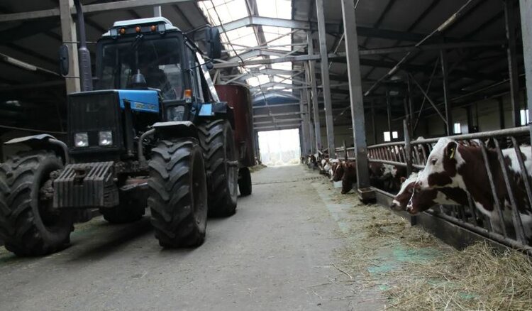 Новый агротуристический маршрут в Коми откроют в честь юбилея ООО «Южное»
