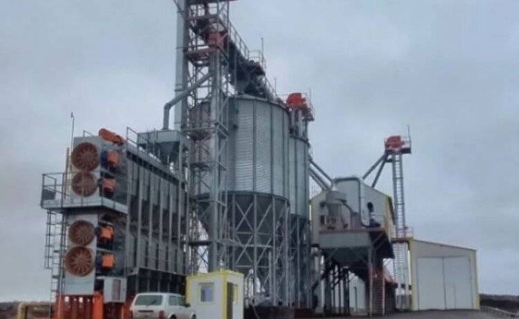 В башкирском семхозе рассказали об урожайности отечественных сортов зерновых