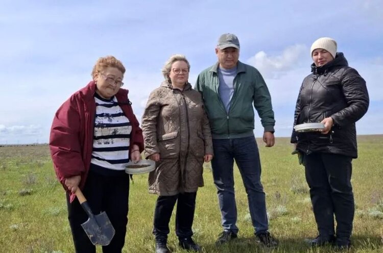 В поисках саранчи: Ставрополье и Калмыкия проводят совместный мониторинг - фото