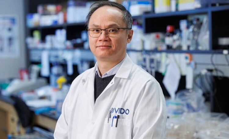 Первая в мире вакцина против туберкулеза КРС готовится к целевому тестированию