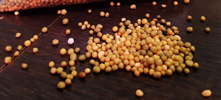 Евросоюз разрабатывает для себя особый и уникальный план по удобрениям - фото