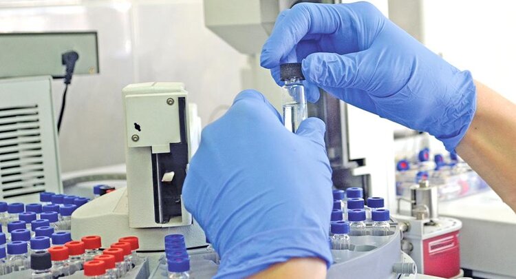 Напрасно фермер решил обработать чечевицу имидаклопридом