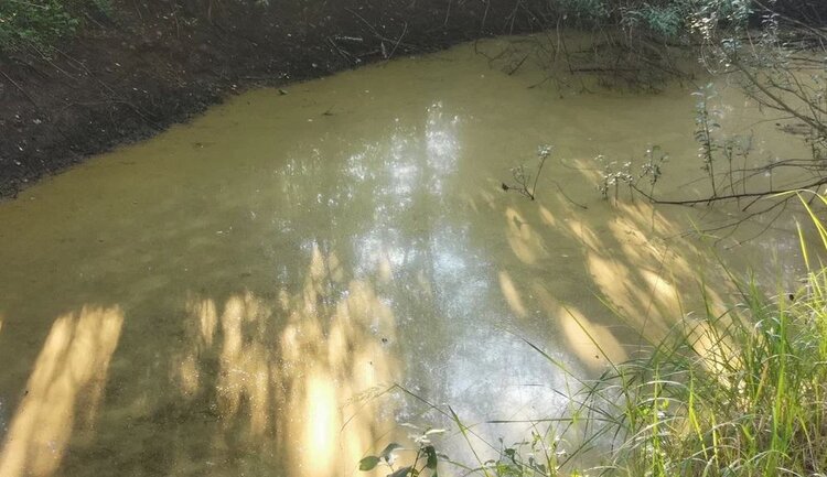 Можно ли обвинять только азотные удобрения в деградации пресноводных водоемов?