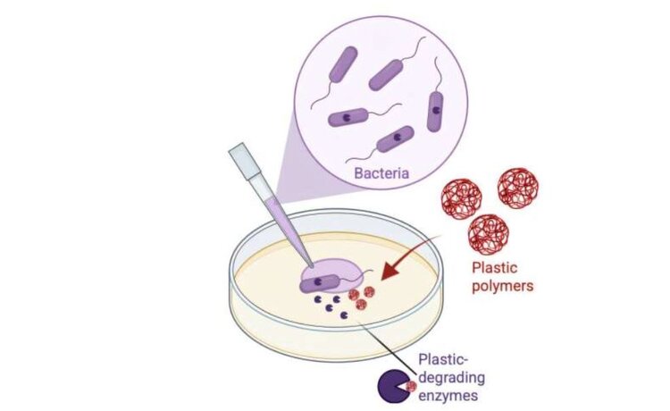 Микроорганизмы Земли имеют огромный арсенал для поглощения пластика, насчитывающий 600 000 белков для разложения отходов - фото