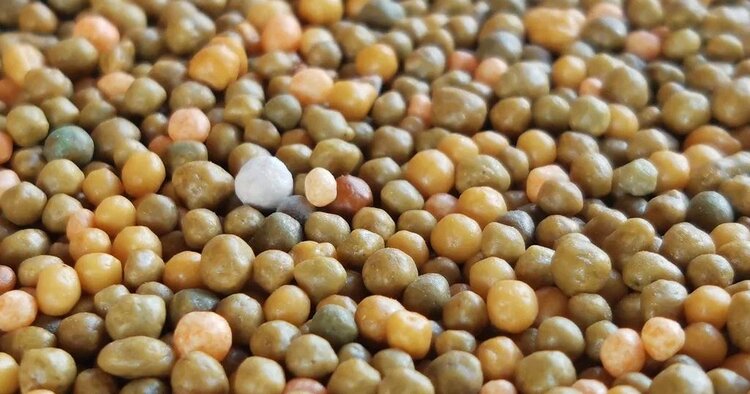 Индия нацелена заменить не менее 25% текущего использования минудобрений органическими за три года