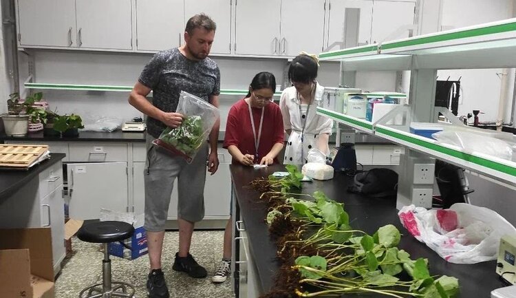 Ученые представили самую полную родословную лютиковых  - фото