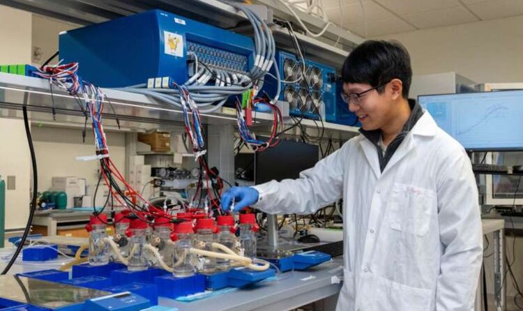 Из двух бактерий можно производить дешевые сенсорные датчики для контроля загрязнения окружающей среды и молока - фото