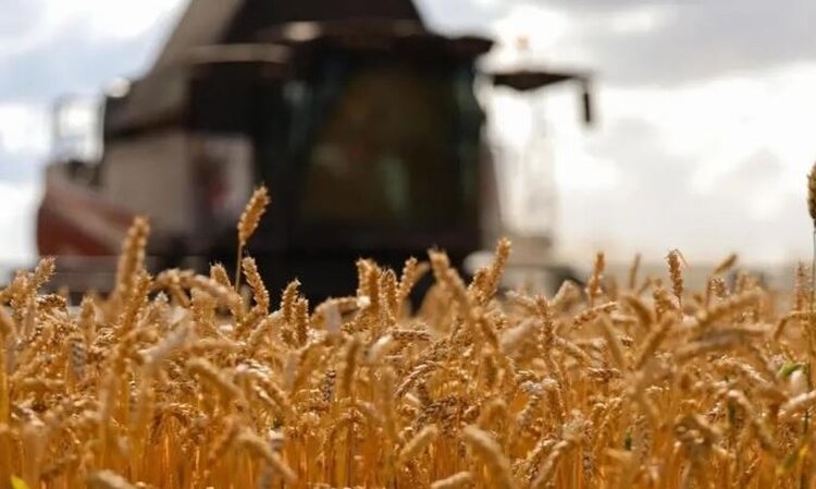 Восточно-Сибирский свинокомплекс продолжил поставку органических удобрений для фермеров Бурятии