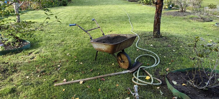 «Неутомимый» огород: способы вдвое снизить затраты времени на уход - фото