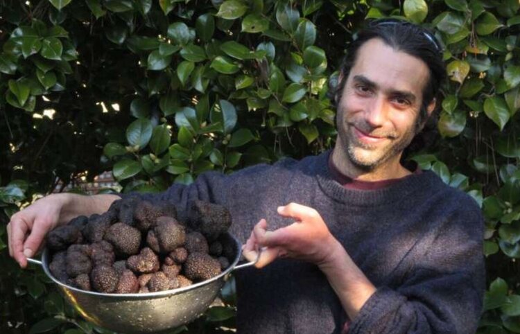 Как Австралия стала сильнейшим игроком трюфельного рынка: урожайность больше в 20 раз - фото