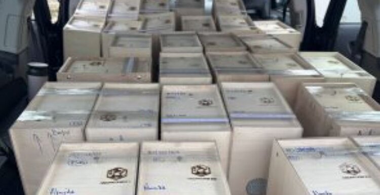 Пчел из Беларуси снова затормозили в Смоленской области - фото