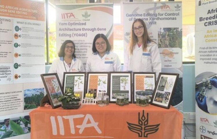 IITA и Bayer создадут вместе устойчивые сорта для мелких фермеров в странах Африки к югу от Сахары - фото