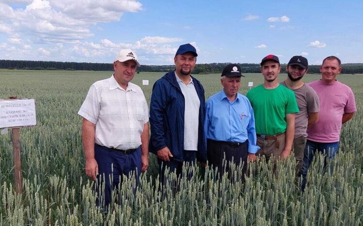 Масштабный проект по изучению обработки почвы запускают РосАгрохимслужба и КГАУ - фото