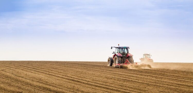 2 новых уральских сорта зерновых начали размножать в Красноуфимском селекционном центре