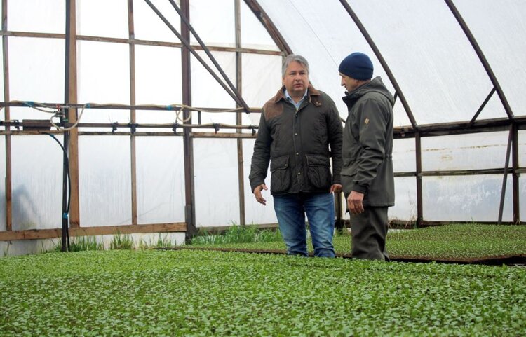 500 тысяч саженцев капусты готовит ивановский фермер к посадке в этом году