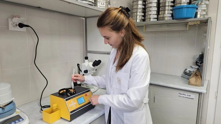 В 6 раз увеличились объемы семян яровых, исследованных в лаборатории Новороссийского филиала ЦОК АПК 