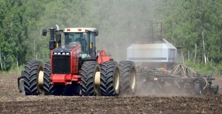 Уральские аграрии увеличат долю сортов свердловской и российской селекции в сезоне 2026