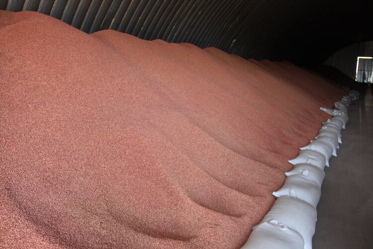 Вектор на стабильность и садоводство: Томская область утвердила план посевной на 2026 год