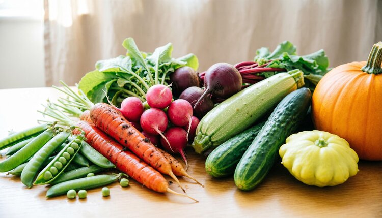 Пять культур, которые лучше всего сажать прямо в почву без предварительной рассады