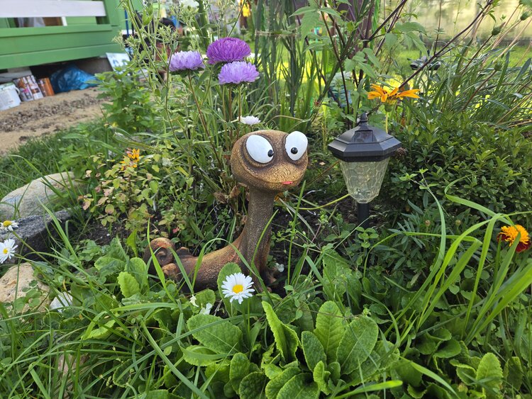 Растительная терапия: Почему садоводство приносит нам радость